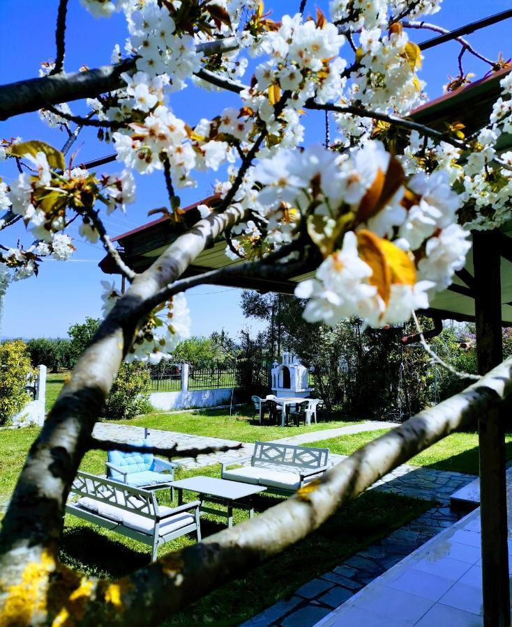 Green Vila โซโซโปลี ภายนอก รูปภาพ